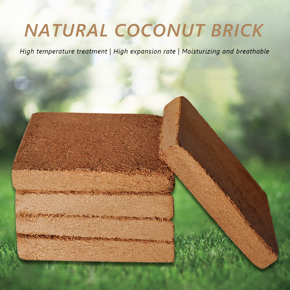 Coco Coir Block - Planta universal de concha de coco,