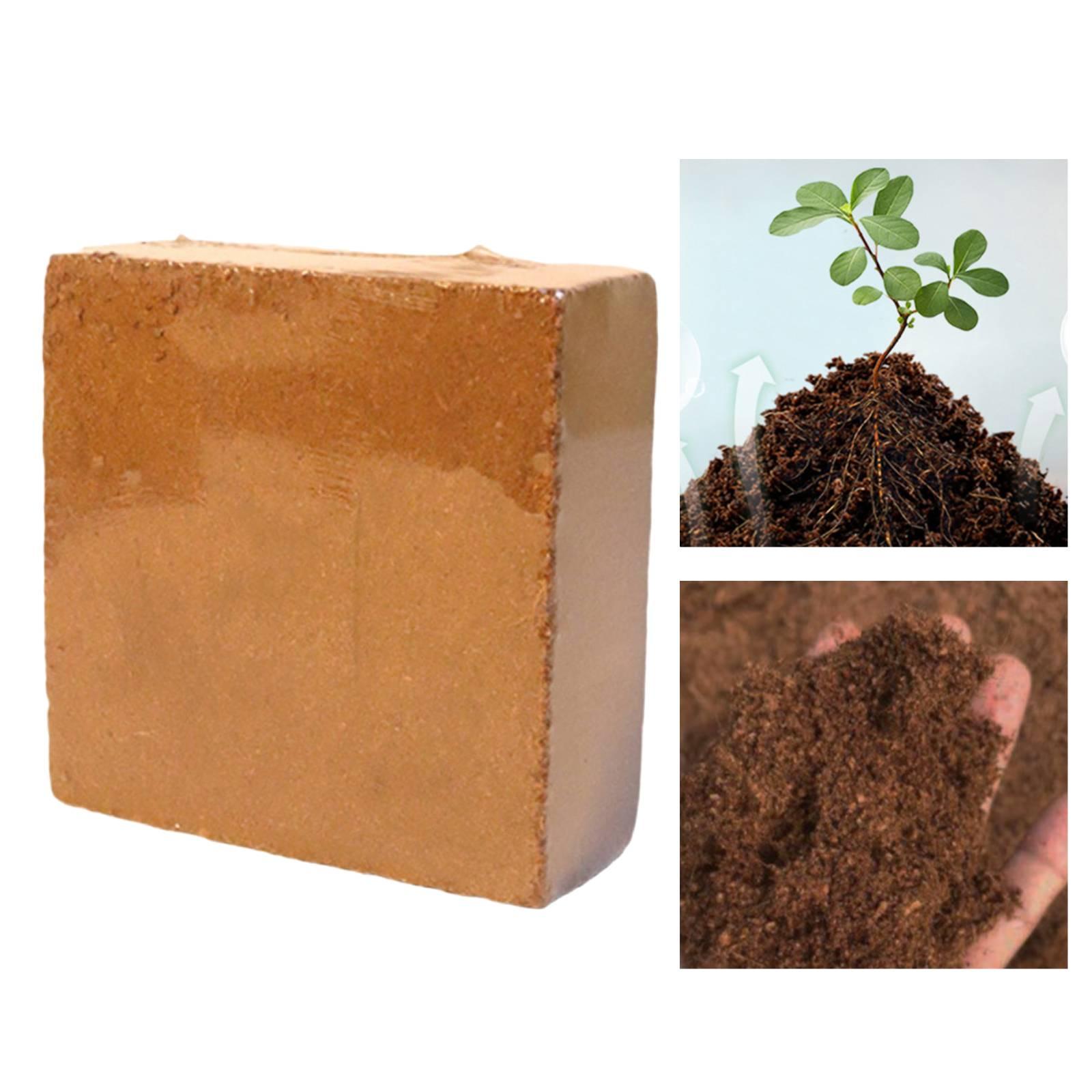 Bloque de Fibra de Coco Compri - Coco Coir Block reseña y precio